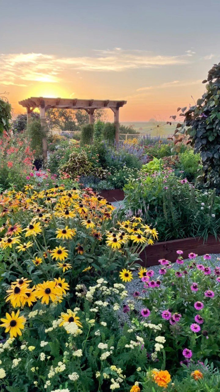 20 Backyard Gardening Inspiration Ideas for Every Outdoor Space 5 Colorful yellow and pink flowers blooming in layered garden beds during a golden sunset.