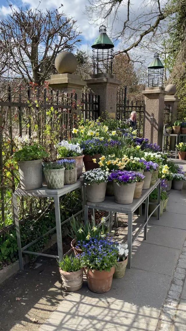 20 Backyard Gardening Inspiration Ideas for Every Outdoor Space 6 Colorful flowering plants in various ceramic and stone pots arranged on metal tables and ground.