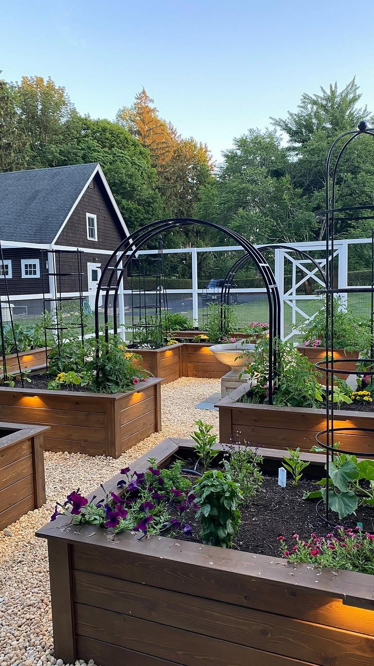 20 Backyard Gardening Inspiration Ideas for Every Outdoor Space 15 Wooden raised garden beds with various green plants and purple flowers on a gravel path.