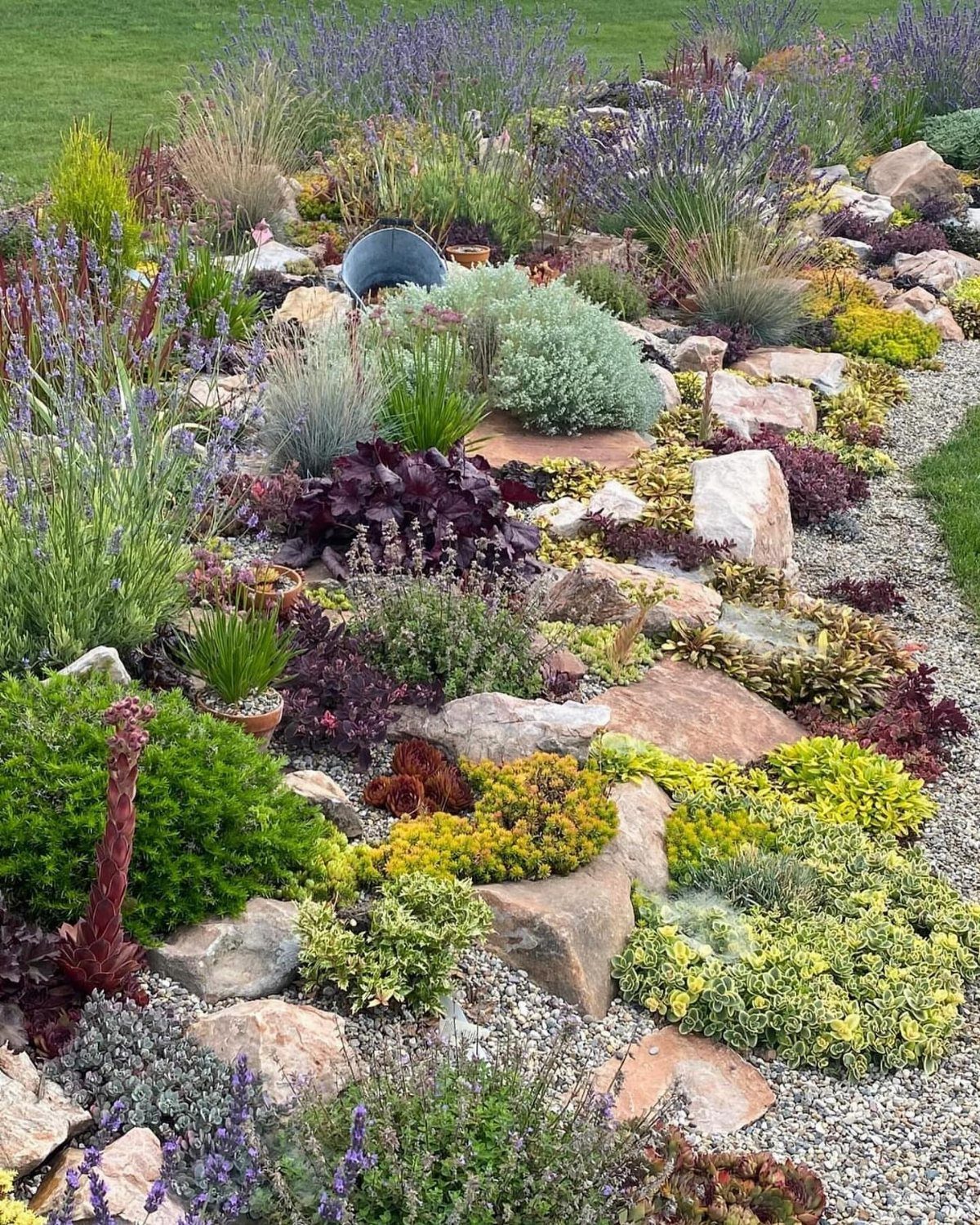 20 Backyard Gardening Inspiration Ideas for Every Outdoor Space 16 A diverse rock garden with succulents, lavender, and ornamental grasses nestled among natural stones and gravel.