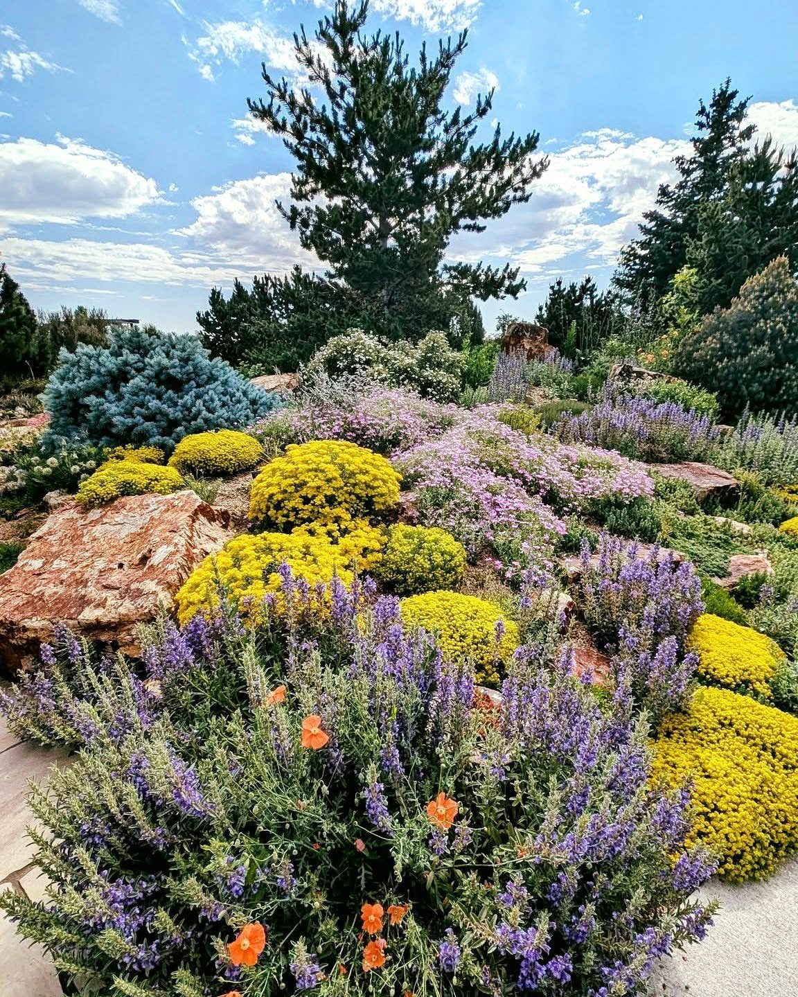 21 Backyard Landscape Design Ideas for Outdoor Living 20 A vibrant rock garden filled with purple and yellow flowers, green shrubs, and large stones.