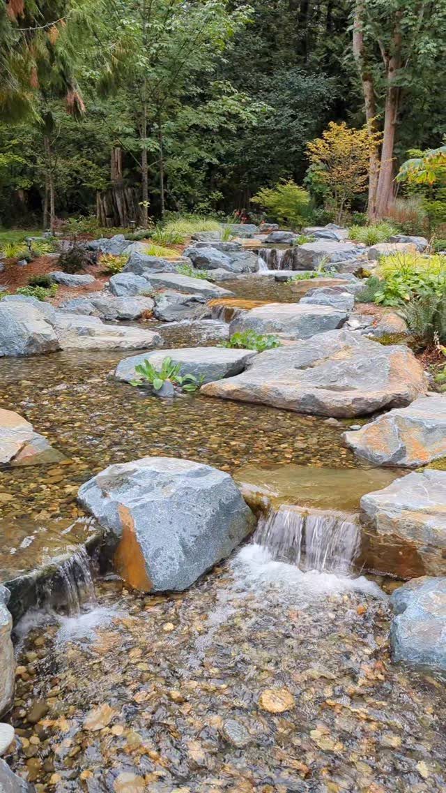 21 Backyard Landscape Design Ideas for Outdoor Living 11 A rocky stream with small waterfalls flowing through a lush green garden landscape.