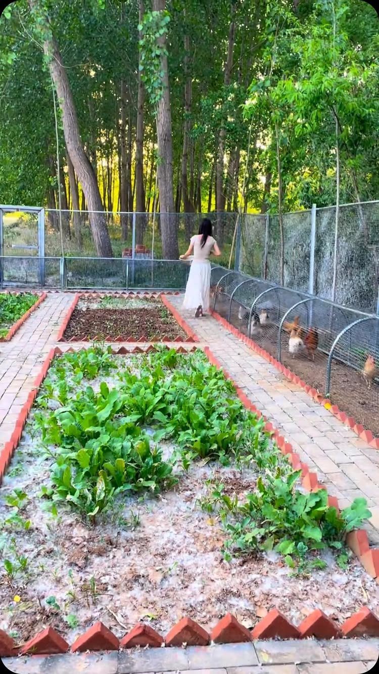 9 Backyard Vegetable Gardens for Any Space 9 A woman walks through a backyard garden with raised vegetable beds and a chicken coop.