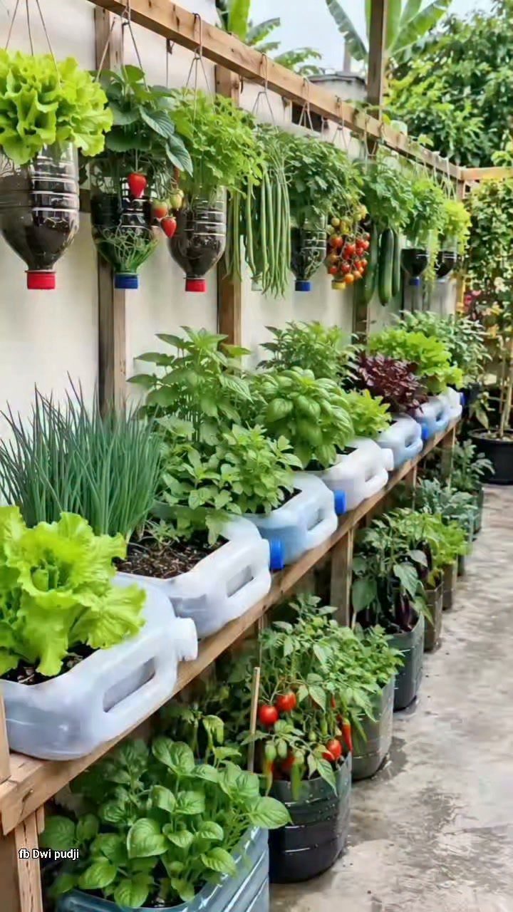 9 Backyard Vegetable Gardens for Any Space 8 A vertical vegetable garden using repurposed plastic bottles and containers on wooden shelves against a wall.