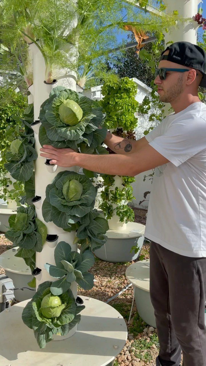 9 Backyard Vegetable Gardens for Any Space 7 A man tending to a vertical hydroponic tower growing green cabbage plants outdoors.