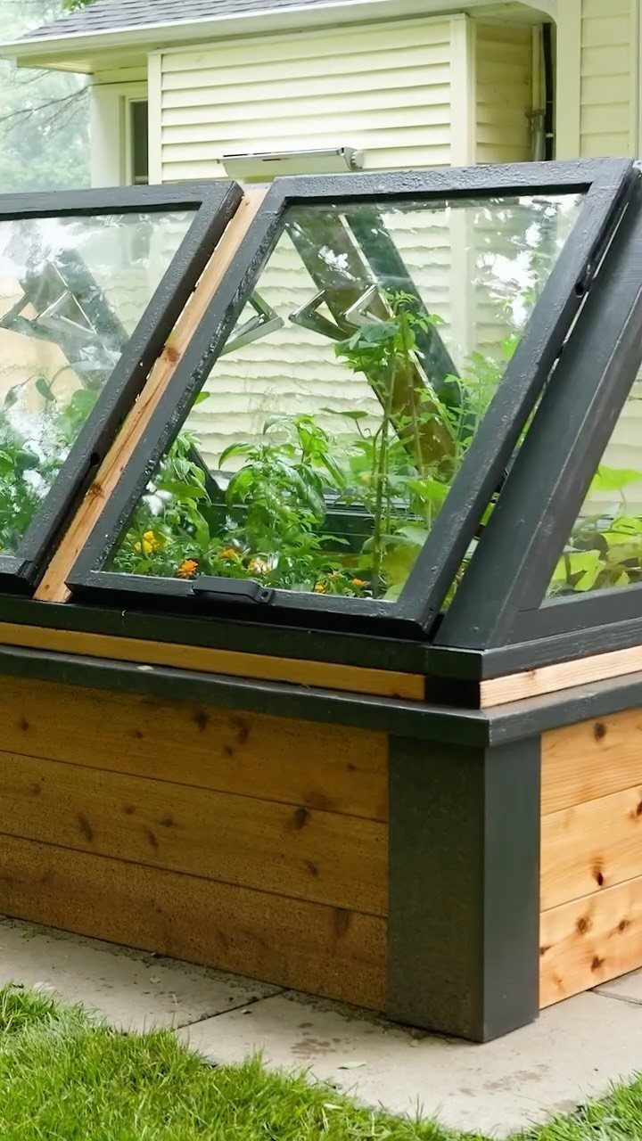 A wooden raised garden bed with a glass cold frame lid containing green plants.