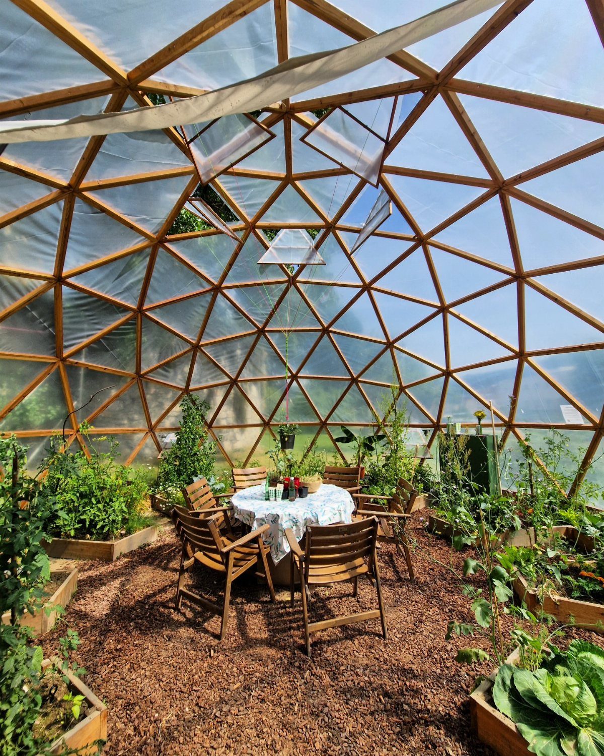 A wooden geodesic dome greenhouse interior featuring a dining set and various green plants in planters.
