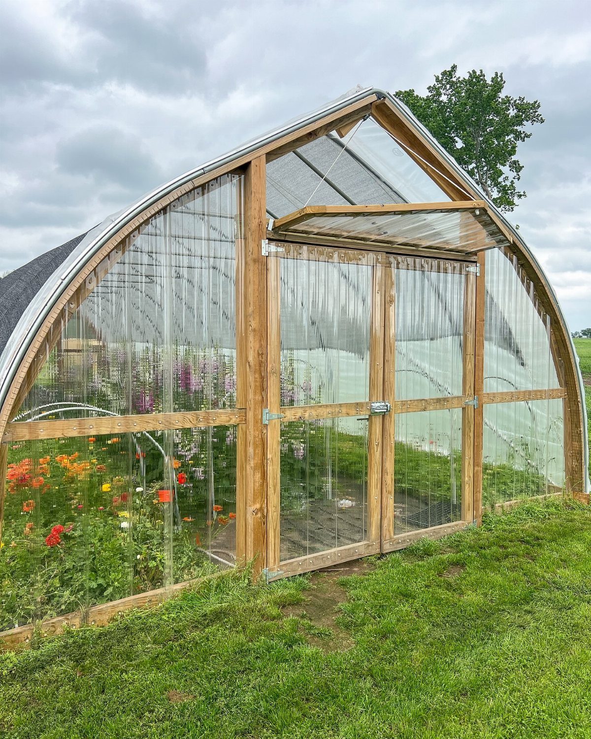 A wooden framed hoop house greenhouse filled with colorful flowers on a grassy lawn.