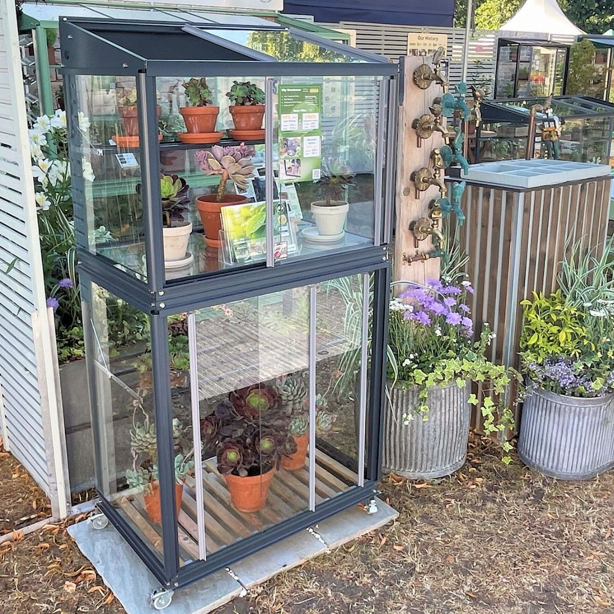 A two-tiered glass plant display case on wheels containing various small potted succulents outdoors.