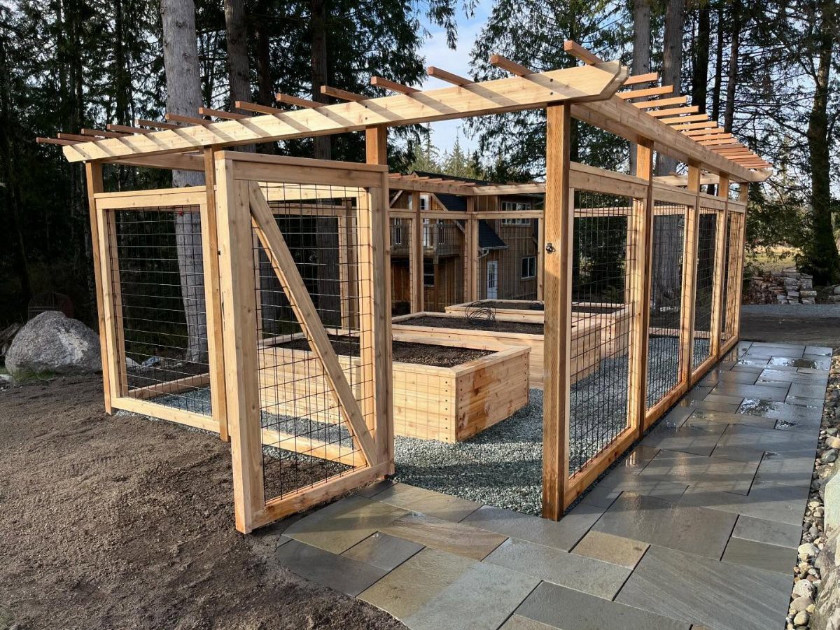 7 Garden Bed Fence Ideas to Protect Your Plants 1 A large wooden garden enclosure with wire mesh panels protecting several raised wooden garden beds.