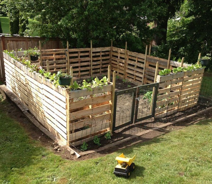 7 Garden Bed Fence Ideas to Protect Your Plants 5 A wooden pallet fence enclosure surrounding a garden bed with a small wire mesh gate.