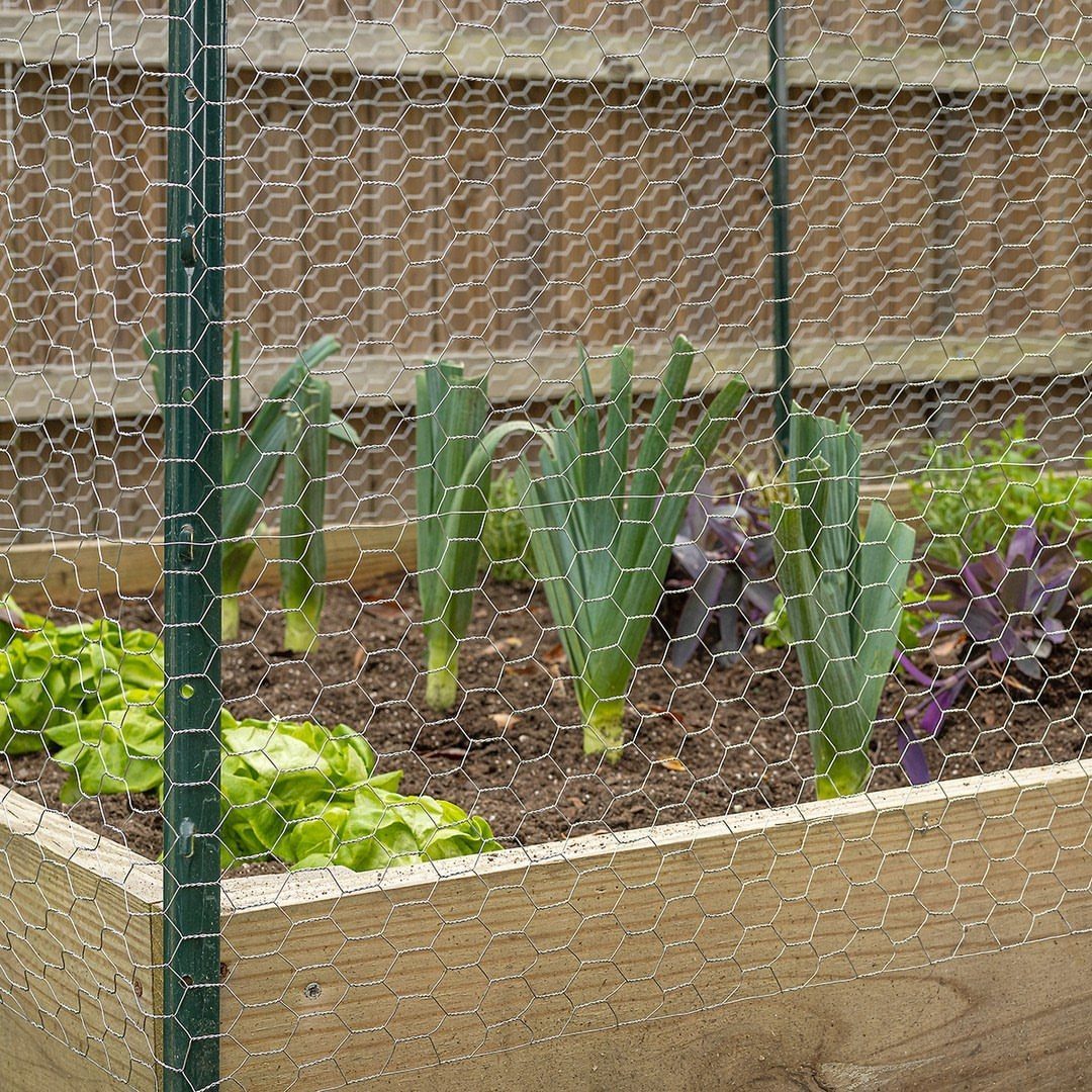 7 Garden Bed Fence Ideas to Protect Your Plants 2 Wire mesh fencing protects green vegetables growing inside a wooden raised garden bed.