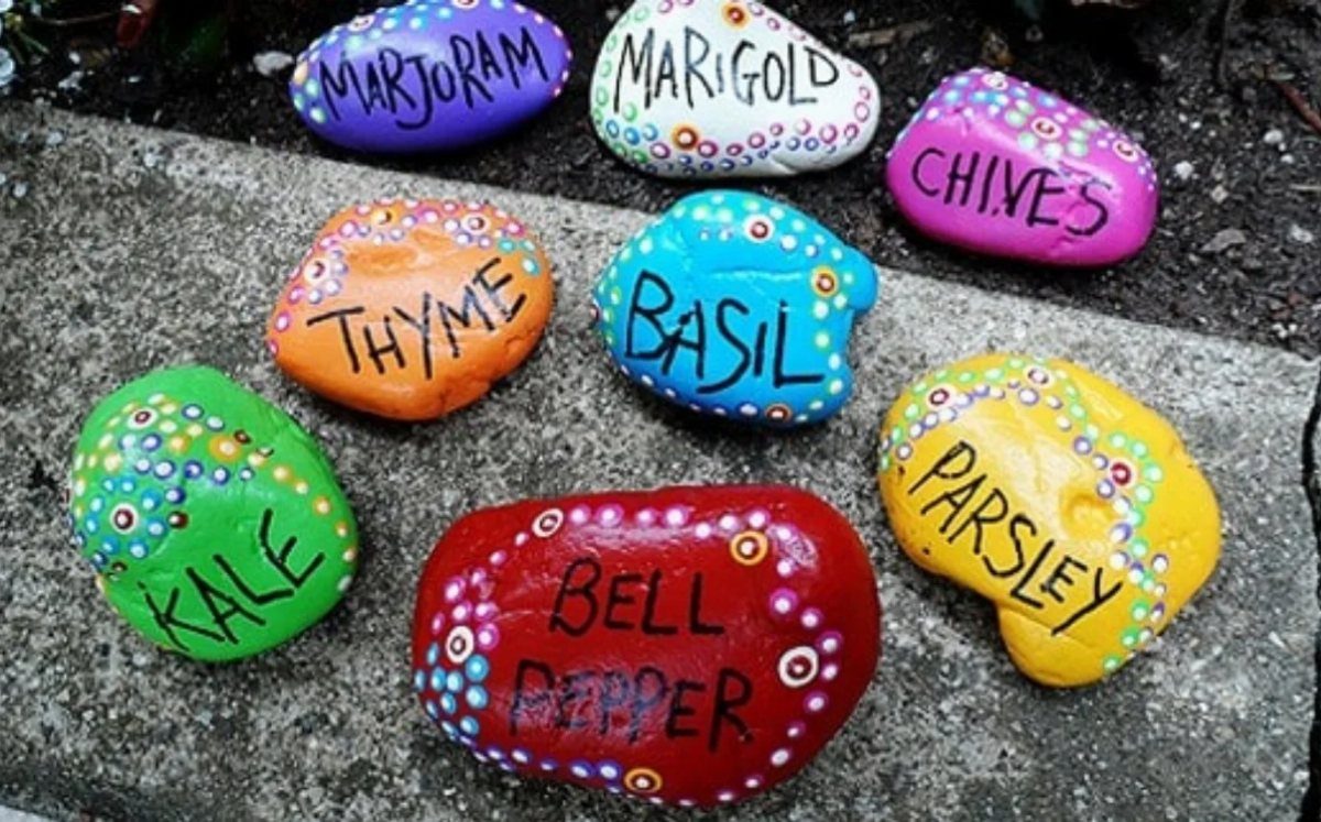 Garden Markers With Rocks: 3 DIY Ideas 2 Painted colorful rocks with various herb and vegetable names resting on a stone ledge.