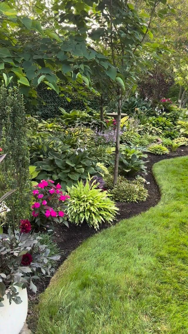 Lush shade garden with hostas and pink flowers growing under leafy green trees.