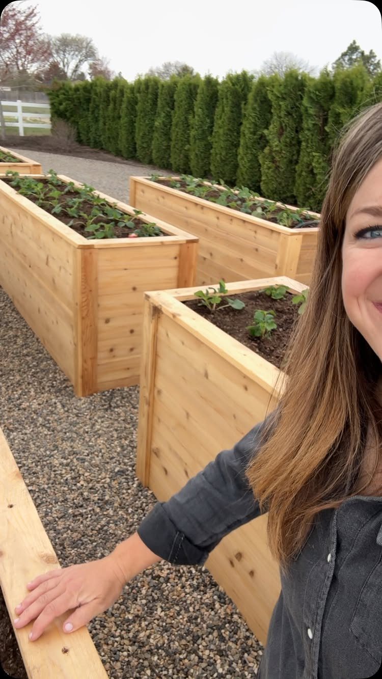 Wooden raised garden beds filled with green plants sit on a gravel backyard area.