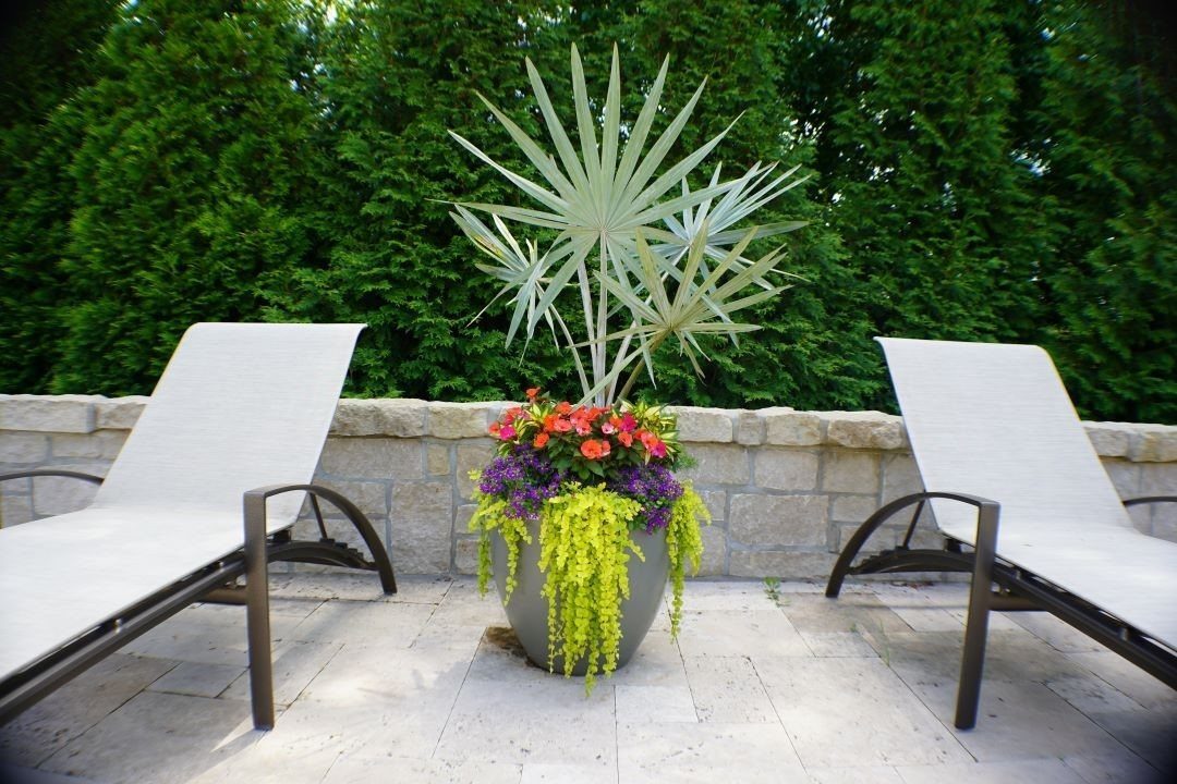 11 Large Potted Plants Outdoor Patios and Entryways Love 1 A large grey planter with a fan palm and cascading lime-green plants on a stone patio.