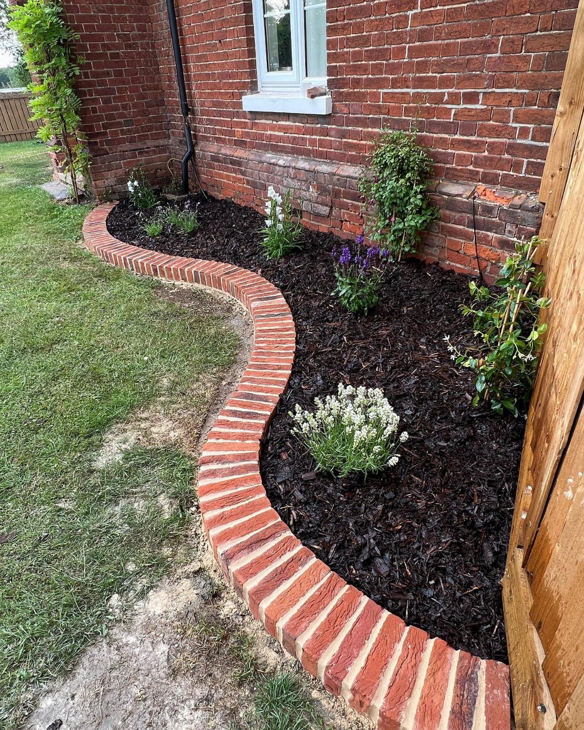 16 Lawn Border Ideas from Steel to Glass Bottle Edges 1 Red brick edging creates a curved border between a green lawn and a dark mulch garden bed.
