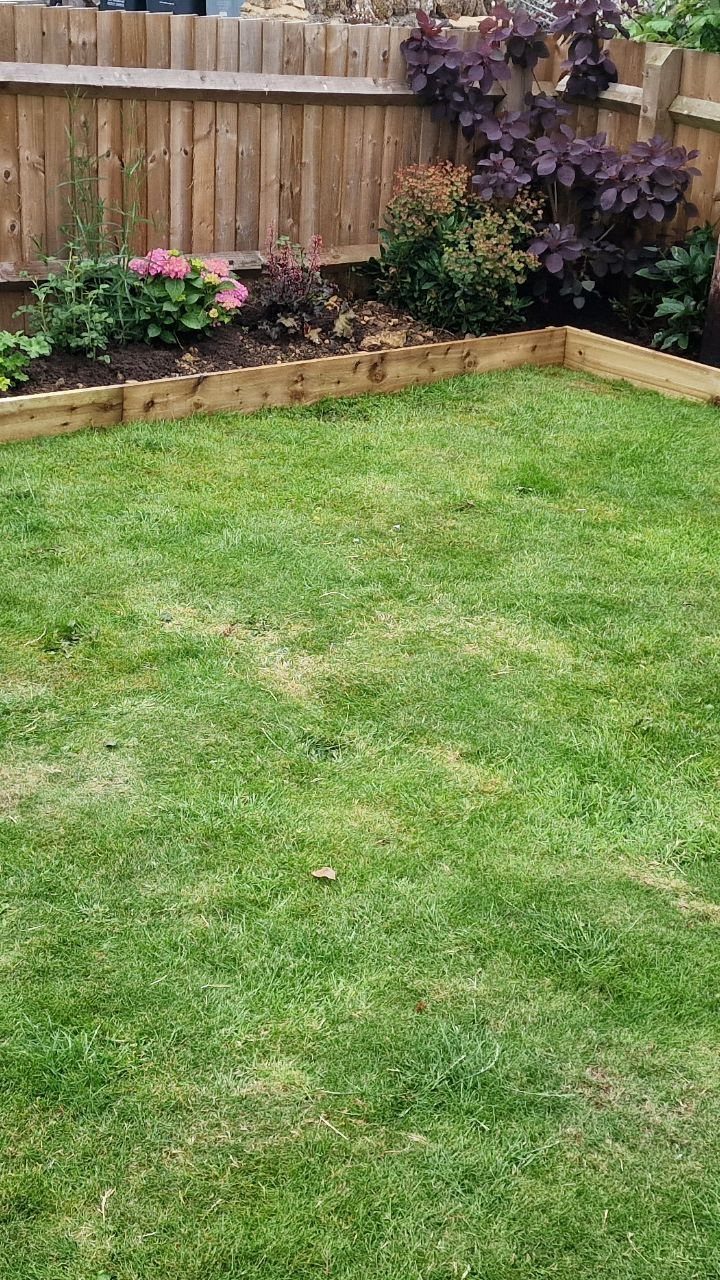 16 Lawn Border Ideas from Steel to Glass Bottle Edges 7 A green lawn with a wooden timber border separating it from a planted garden bed.