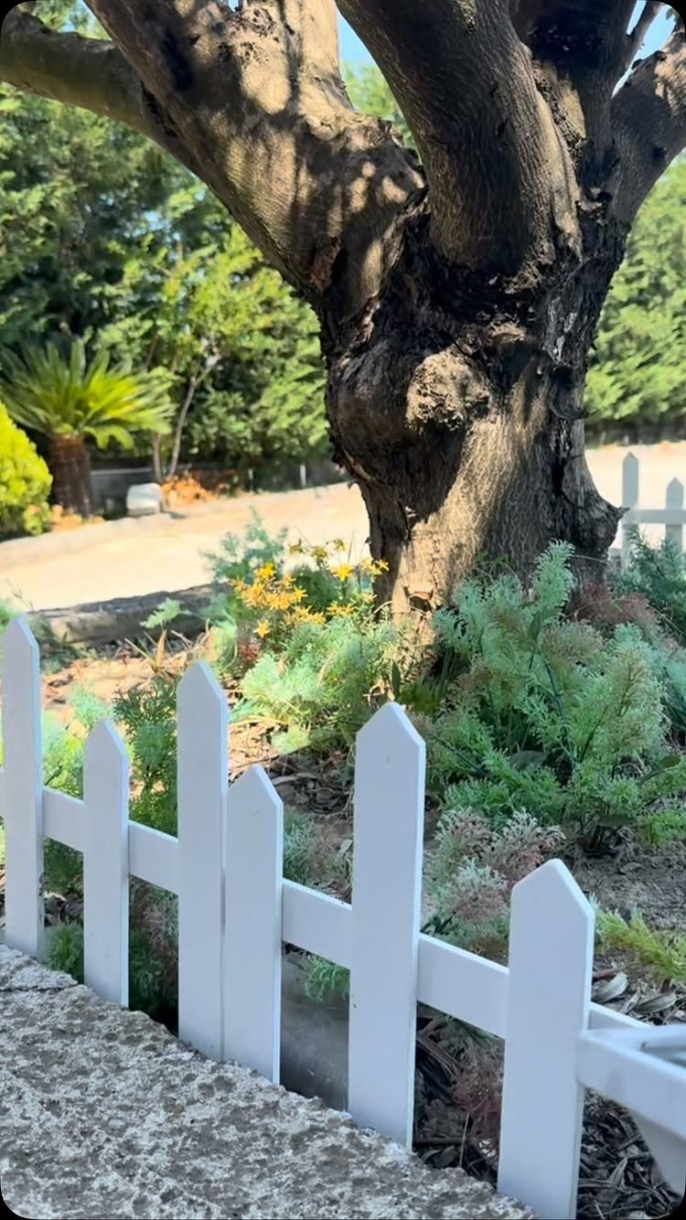 16 Lawn Border Ideas from Steel to Glass Bottle Edges 12 A small white picket fence borders a garden bed with green plants and a large tree.