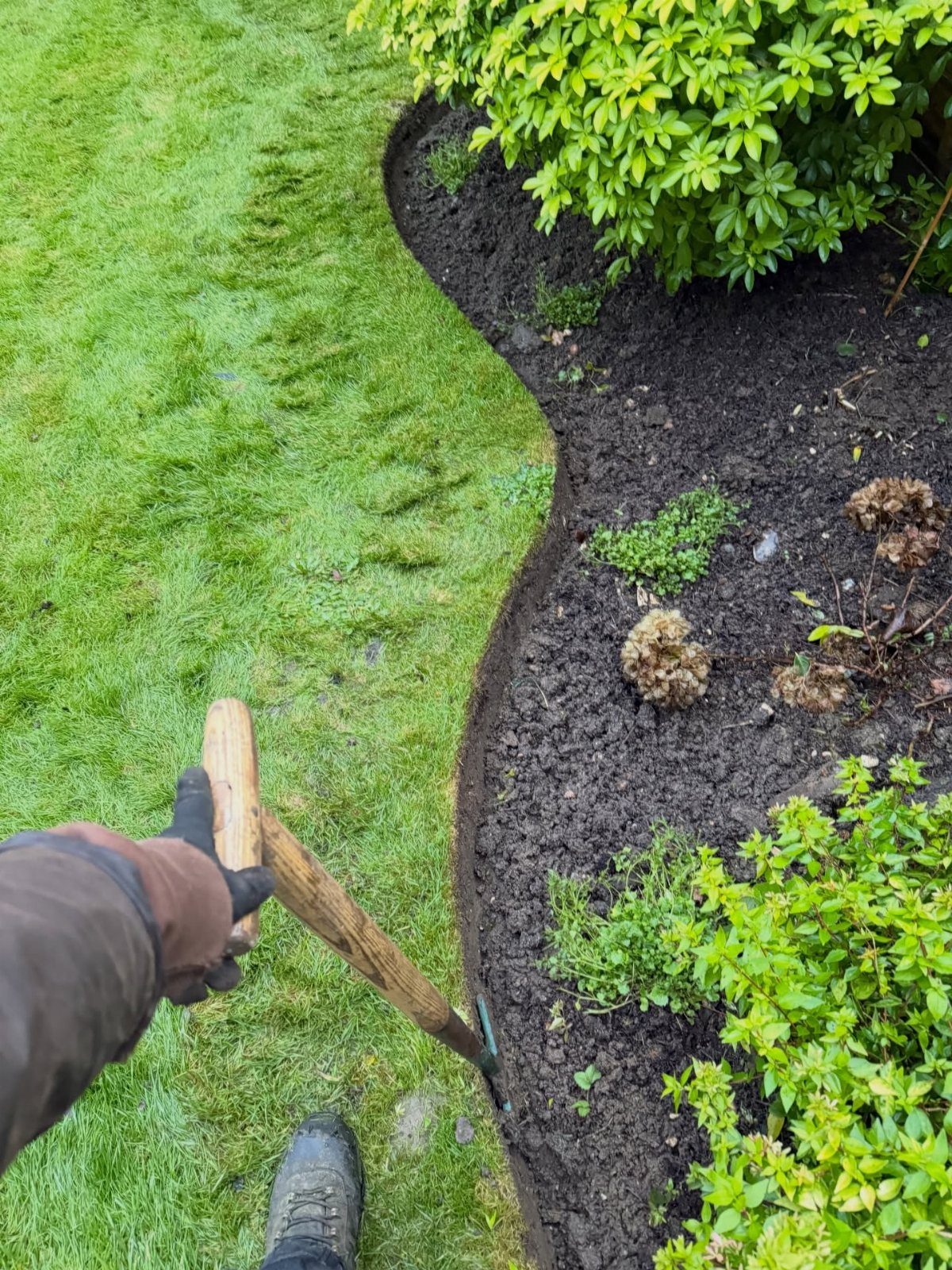 16 Lawn Border Ideas from Steel to Glass Bottle Edges 13 A person using a hand tool to create a neat edge between grass and soil.