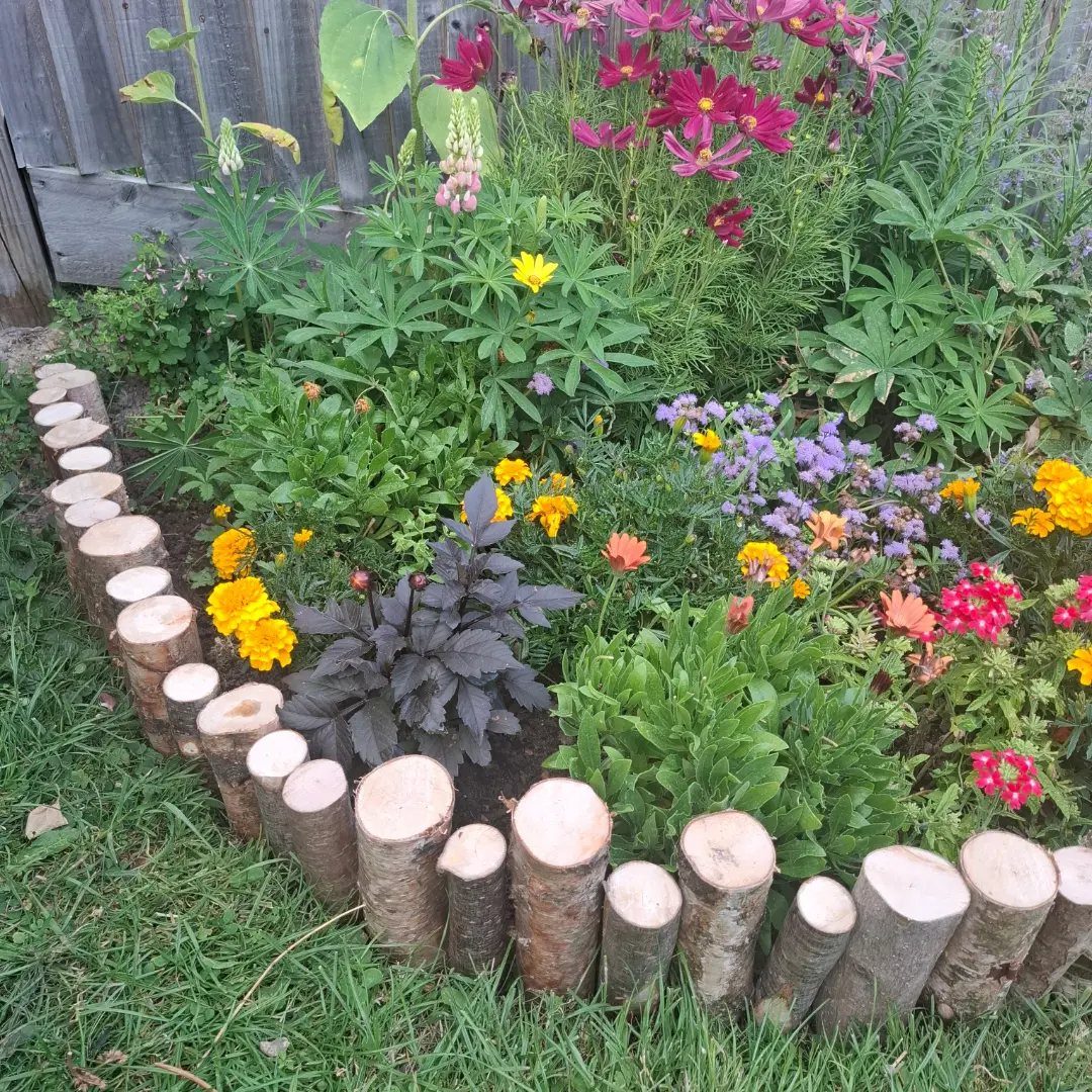 16 Lawn Border Ideas from Steel to Glass Bottle Edges 6 Small natural wooden logs forming a rustic border around a colorful flower garden bed.