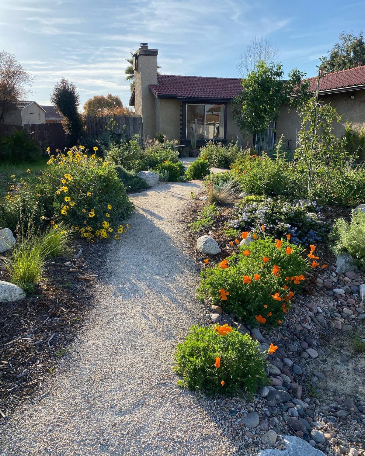 A gravel path leads through a lush garden filled with colorful wildflowers and drought-tolerant plants.