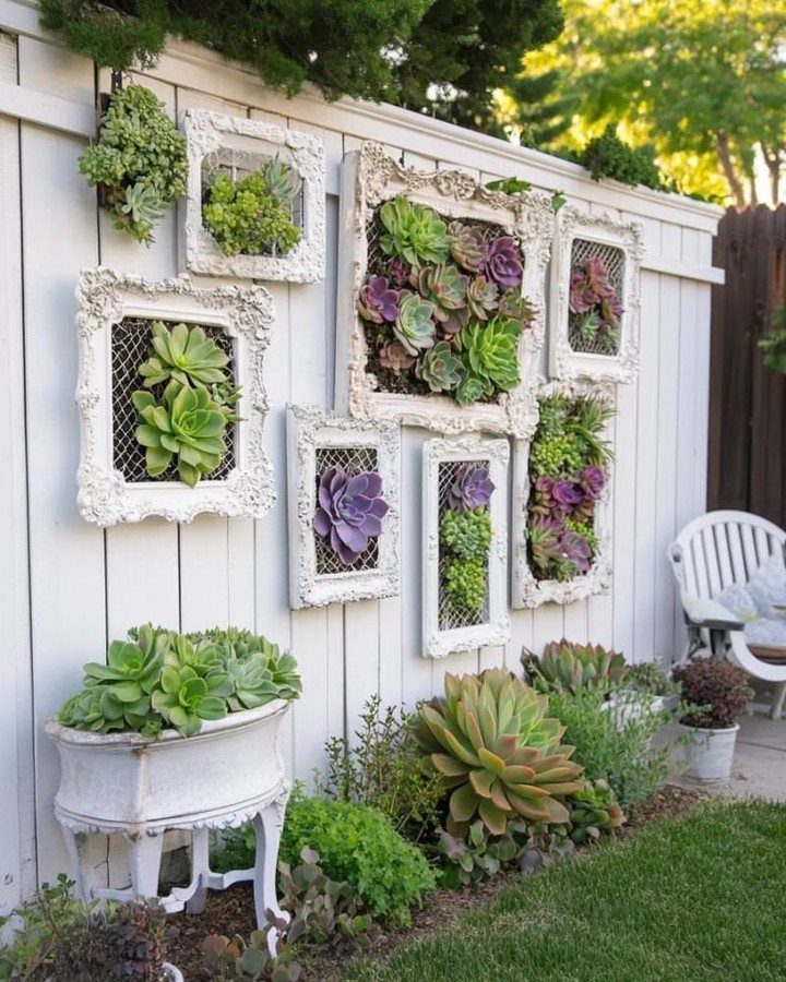 Ornate white frames filled with succulents mounted on a white wooden fence in a garden.