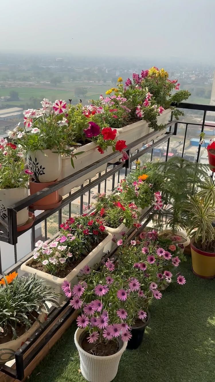 Colorful flowers in rectangular planters arranged along a black metal balcony railing overlooking a landscape.