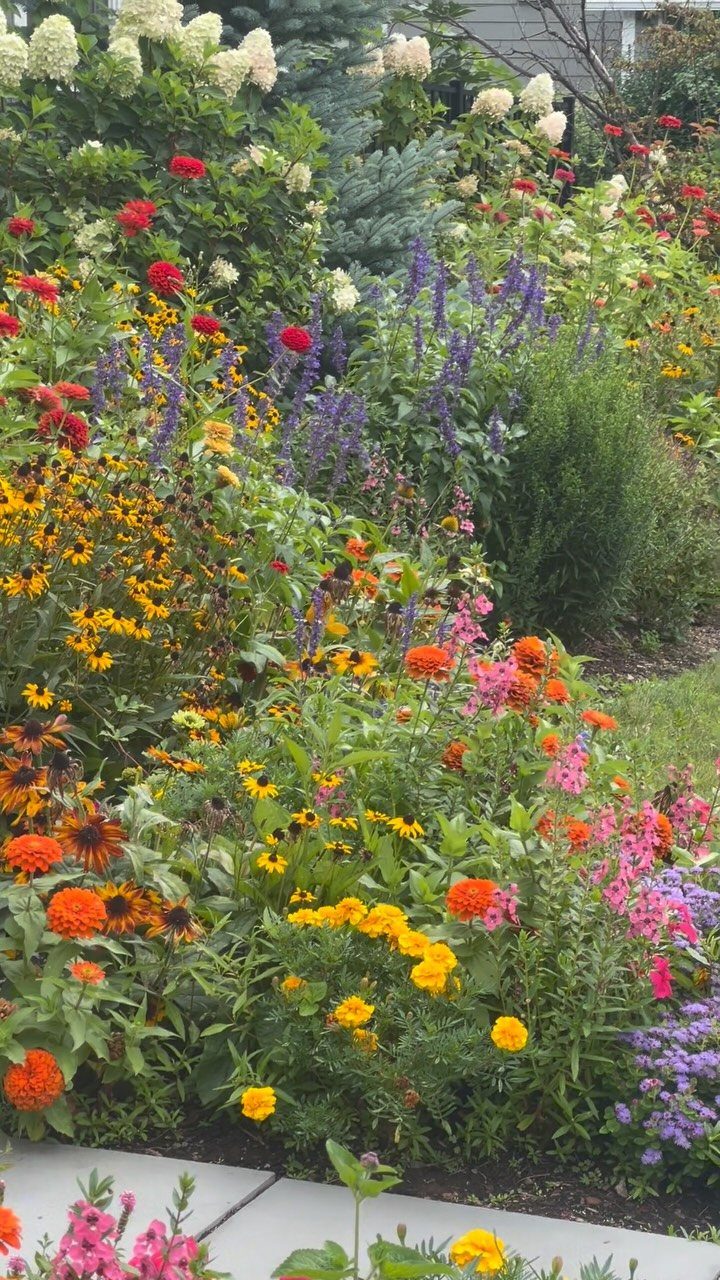Colorful garden bed featuring orange marigolds, yellow black-eyed Susans, and purple salvia flowers.