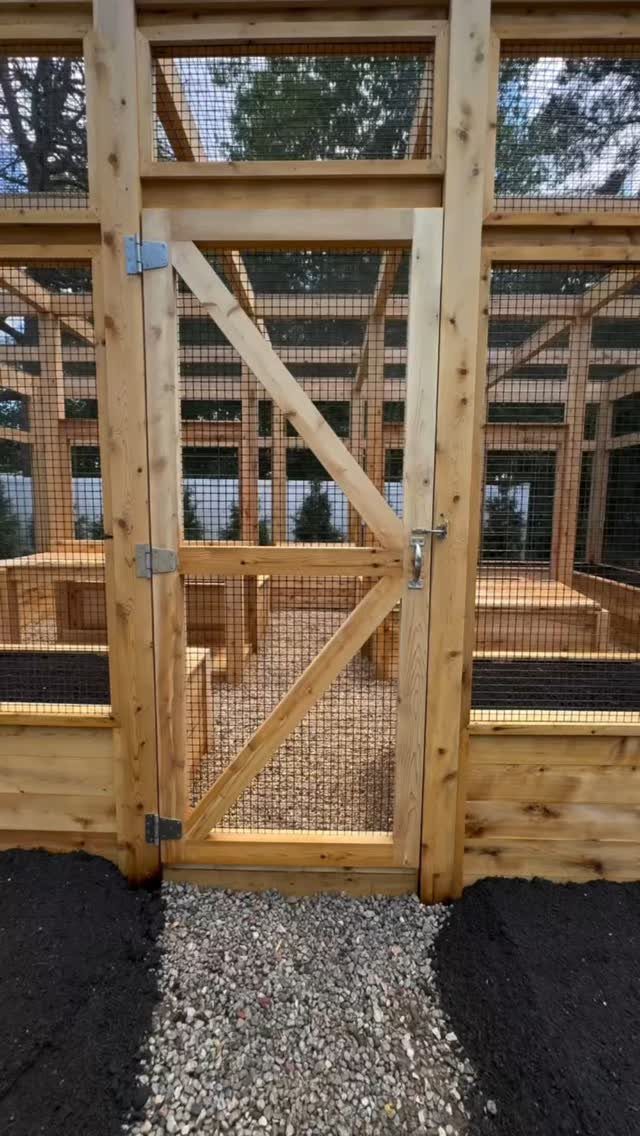 8 Raised Garden Bed Fence Ideas for Plants, Privacy, and Pests 3 A wooden garden enclosure with wire mesh panels and a small braced door.