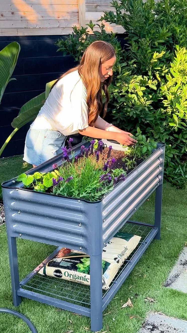 8 Raised Garden Bed Fence Ideas for Plants, Privacy, and Pests 6 A woman tending to purple flowers in a grey metal elevated garden bed outdoors.