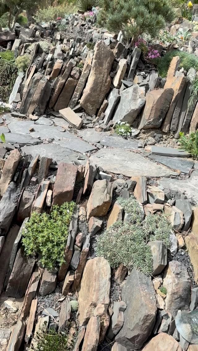 11 Rock Garden Ideas for Stone, Succulents and Alpine Plants 6 Jagged slate rocks arranged vertically with small green alpine plants and a stone path.