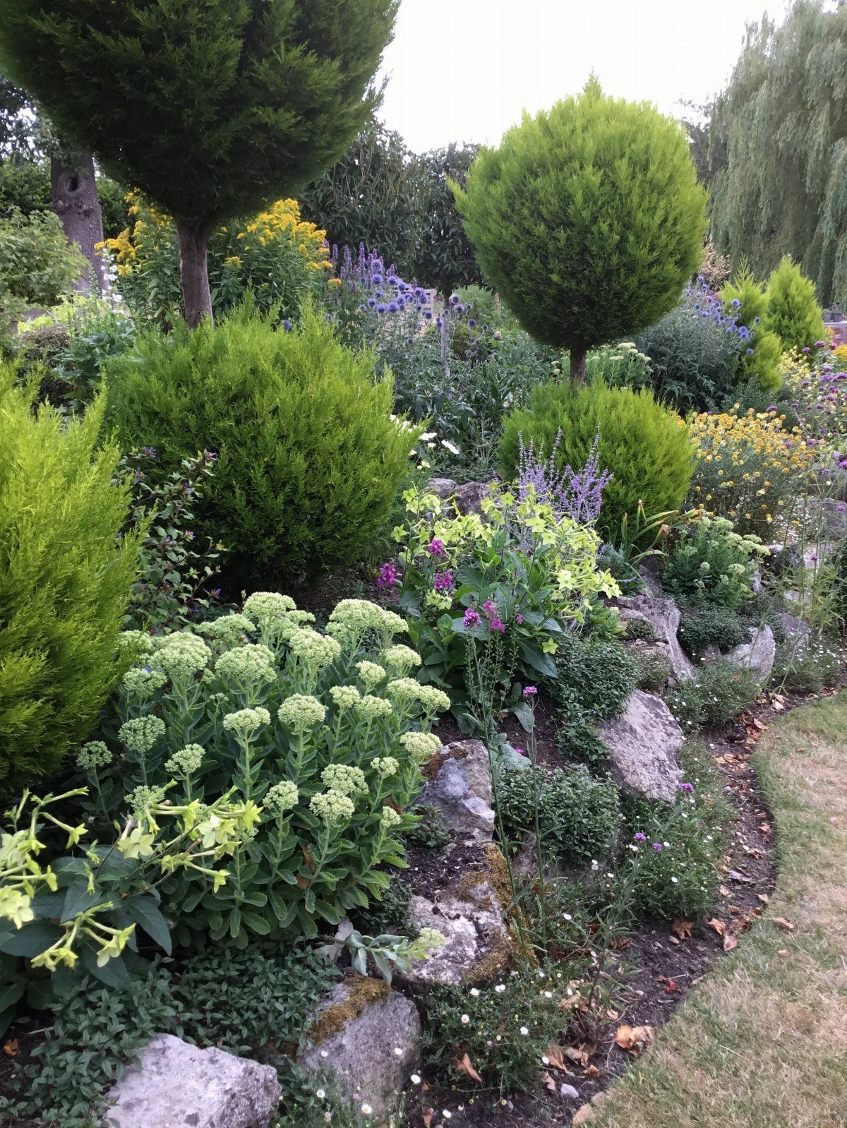 11 Rock Garden Ideas for Stone, Succulents and Alpine Plants 10 Lush green shrubs and purple flowers growing among grey rocks in a landscaped garden.