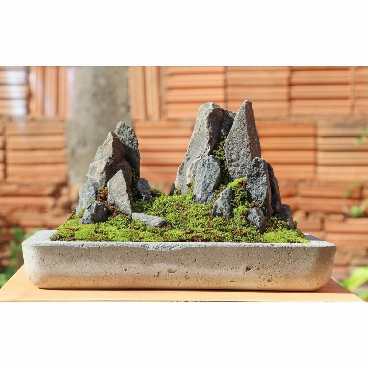 11 Rock Garden Ideas for Stone, Succulents and Alpine Plants 11 Miniature landscape with jagged grey rocks and green moss in a rectangular stone tray.
