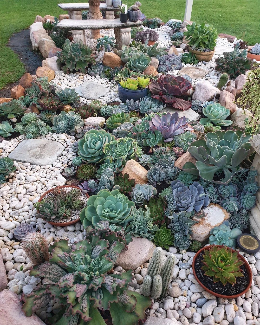 11 Rock Garden Ideas for Stone, Succulents and Alpine Plants 3 Various green and purple succulents growing among white pebbles and large rocks in a garden.