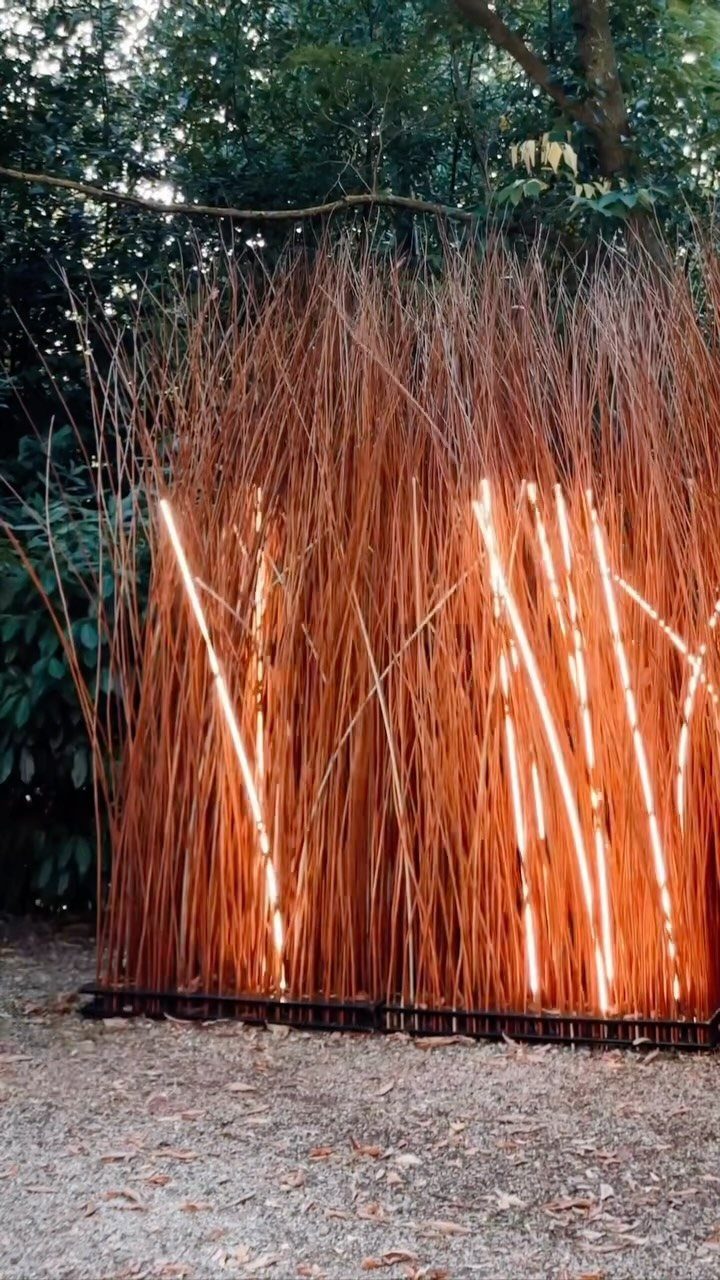 A wooden twig screen illuminated by glowing white light tubes in a dark garden setting.