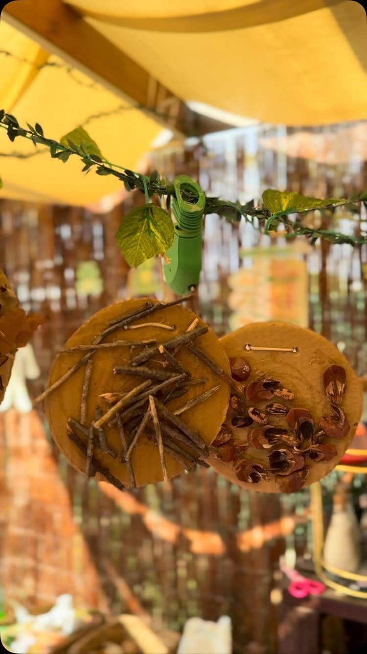 Two circular hanging ornaments made of twigs and seeds suspended from a green vine.