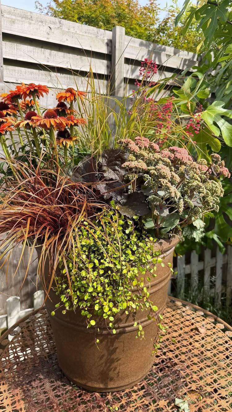 A large terracotta planter filled with colorful flowers and ornamental grasses on a metal table.