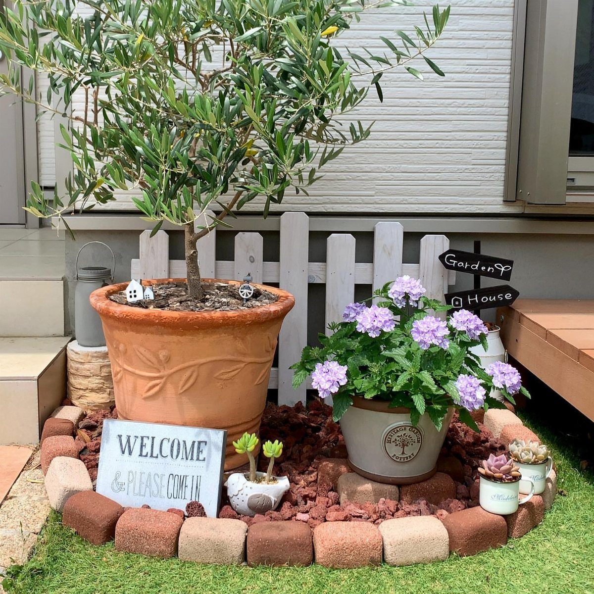 17 Small Front Yard Landscape Ideas with Photo Inspiration 4 Potted olive tree and purple flowering plants in a small landscaped garden bed.