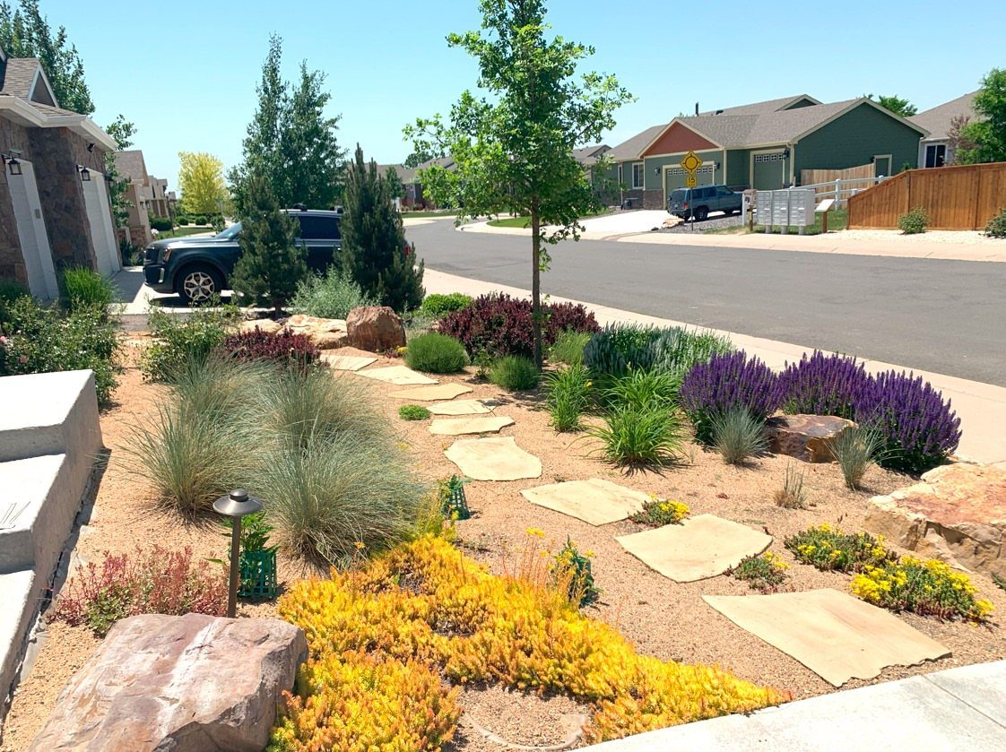 17 Small Front Yard Landscape Ideas with Photo Inspiration 1 Drought-tolerant plants and ornamental grasses arranged with stepping stones in a landscaped front yard.