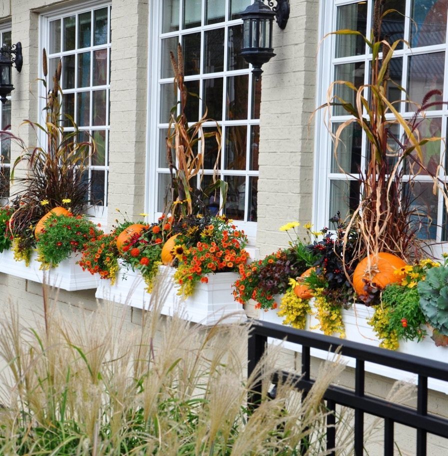 17 Small Front Yard Landscape Ideas with Photo Inspiration 12 White window boxes filled with autumn flowers, tall grasses, and pumpkins under windows.