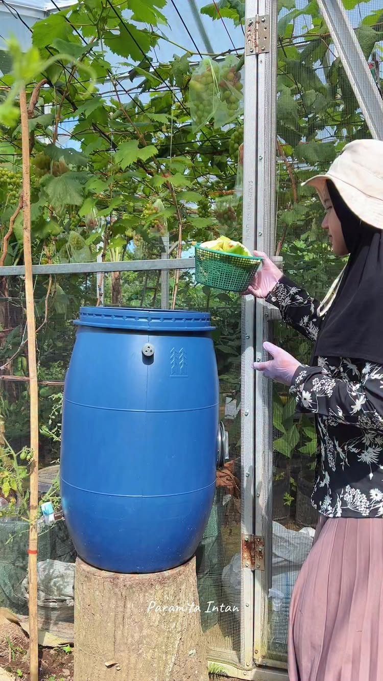 10 Urban Gardening Ideas for Small Spaces & City Living 10 A person holding a basket of food scraps over a blue compost bin in a garden.