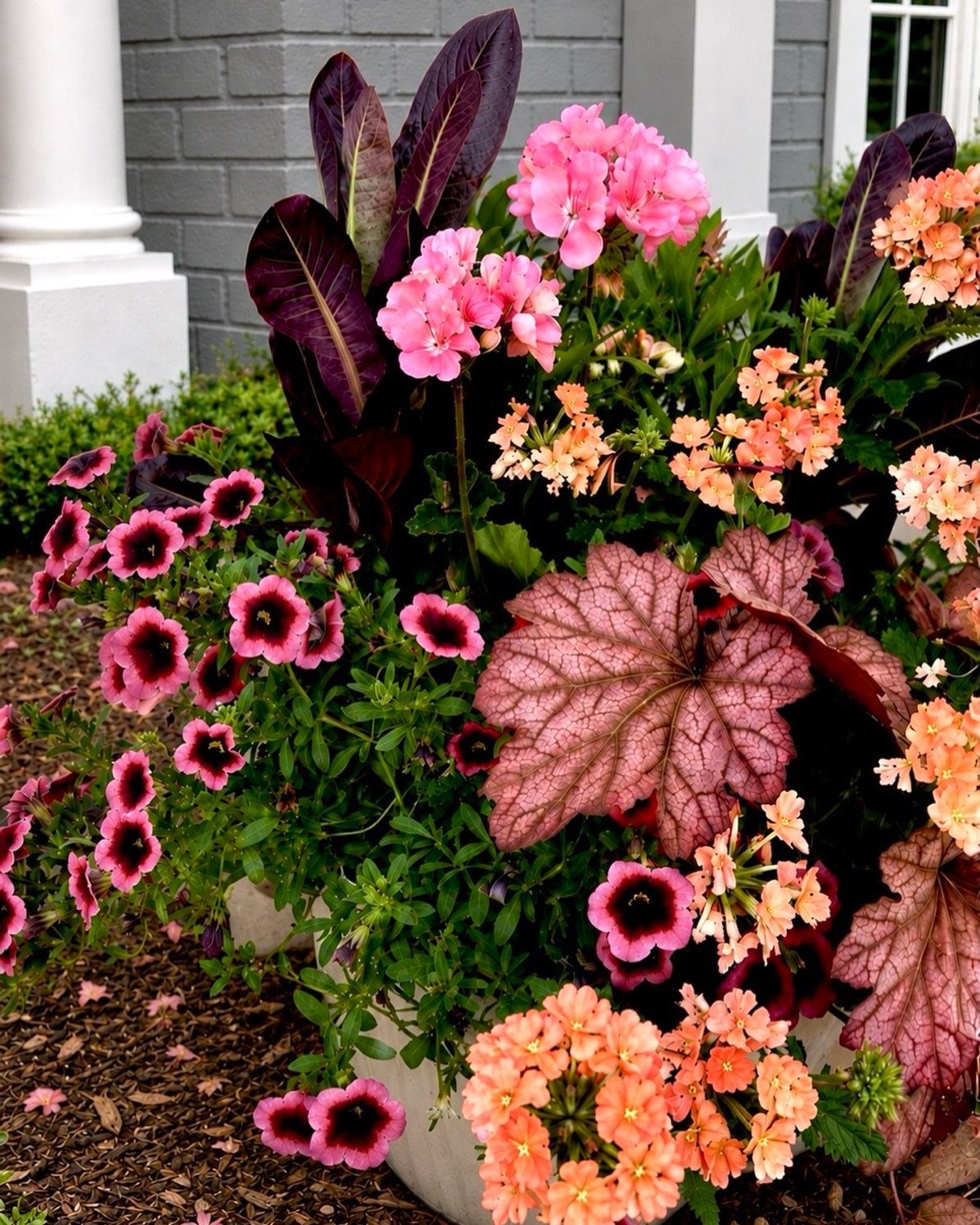 10 Urban Gardening Ideas for Small Spaces & City Living 4 Pink and peach flowers with dark purple foliage growing in a large white container planter.