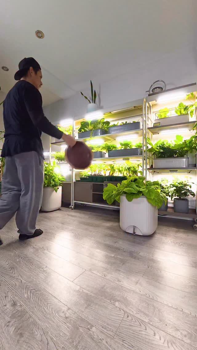 10 Urban Gardening Ideas for Small Spaces & City Living 8 A person stands beside indoor shelving units filled with plants under bright LED grow lights.
