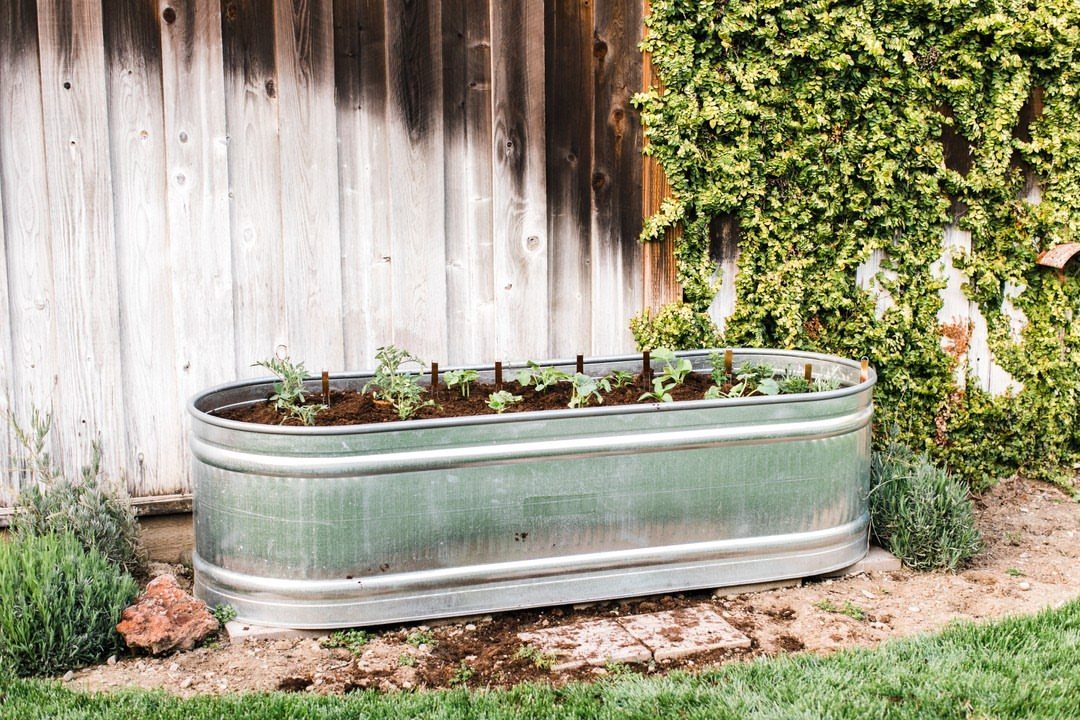10 Urban Gardening Ideas for Small Spaces & City Living 1 A galvanized metal oval trough filled with soil and small green plants sits against a wooden fence.