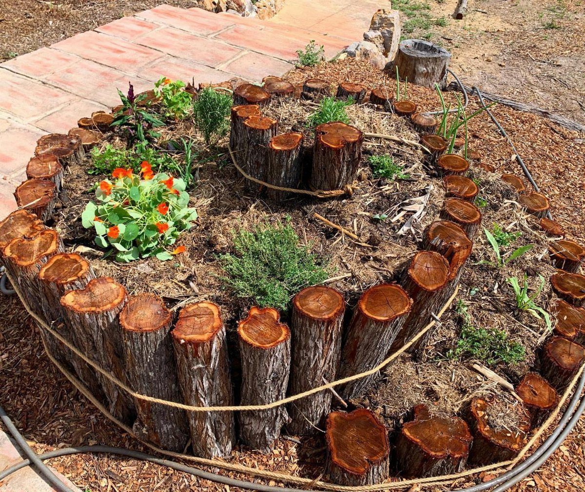 A circular garden bed made of small vertical wooden logs filled with green herbs and plants.