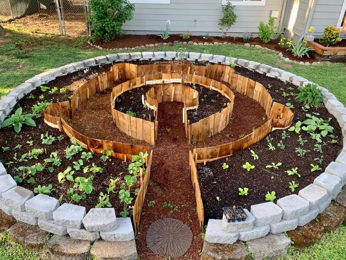 A circular keyhole garden bed with wooden dividers, dark soil, and small green plants.
