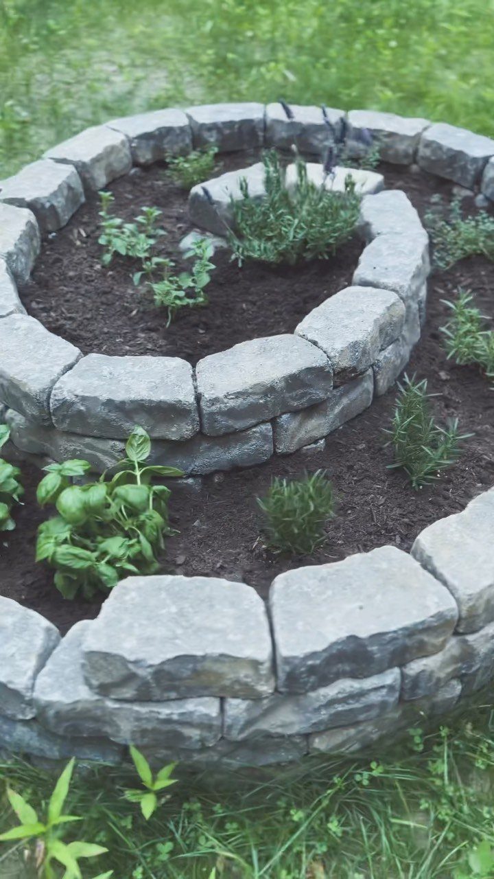 A spiral stone raised garden bed containing various small green herb plants in dark soil.