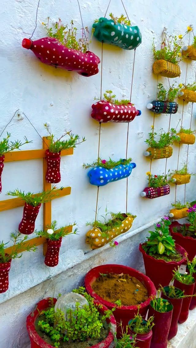 Colorful polka-dotted plastic bottles hanging on a white wall acting as planters for small green plants.