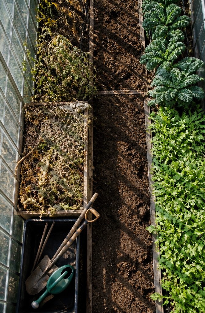 Winter Greenhouse Maintenance: A 7-Step Guide to Protecting Your Structure 7 Harvested tomatoes with winter crops ready for planting.